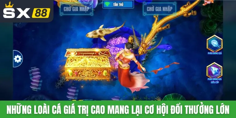 Những loài cá giá trị cao mang lại cơ hội đổi thưởng lớn
